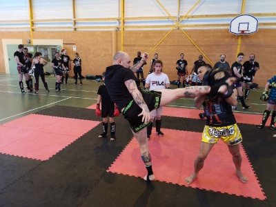 Pipa Prigonrieux 1-05-19 (192)