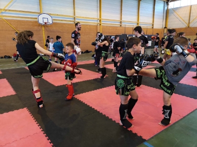 Pipa Prigonrieux 1-05-19 (22)