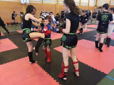 Pipa Prigonrieux 1-05-19 (68)