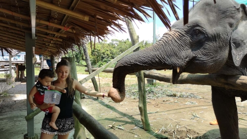 Thailande 17-10-18 (121)