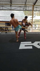 Thailande 17-10-18 (146)