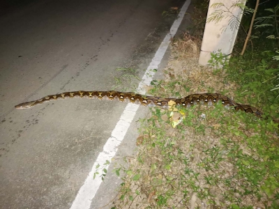 Thailande 21-10-18 (374)